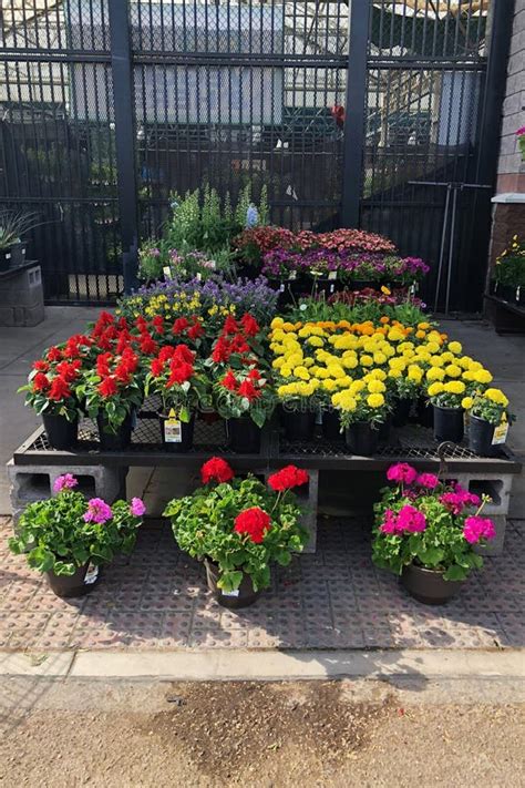 Image result for Lowe's Flower Garden