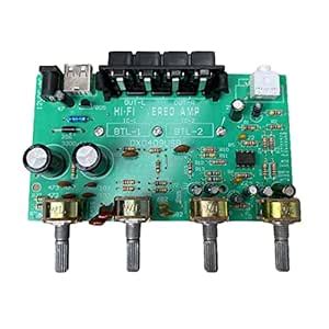 Loom Tree® Digital Power o Stereo Amplifier Board DC 12V with Volume ...