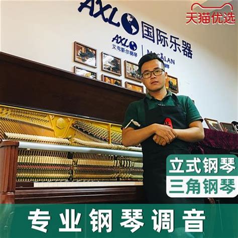 广州钢琴调音钢琴调律维修调音师调琴师修理钢琴调琴上门服务_虎窝淘