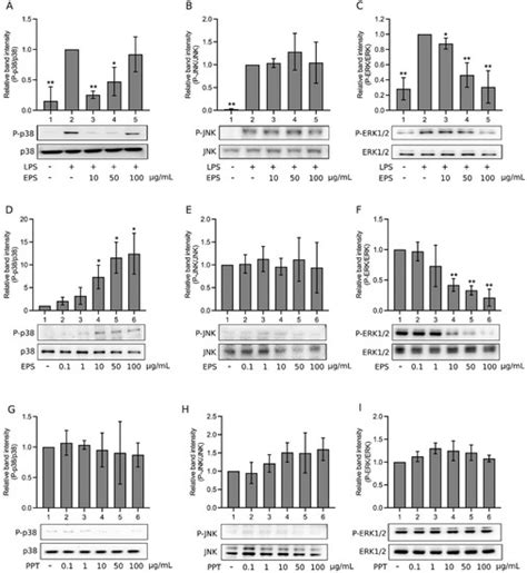 Exopolysaccharides of Bacillus amyloliquefaciens Amy-1 Mitigate ...