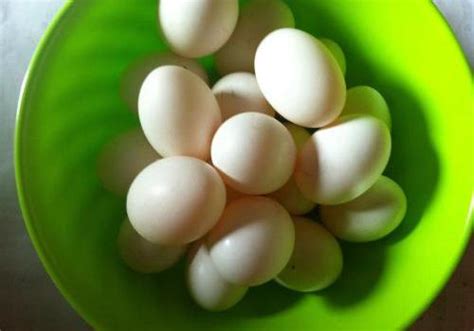 鸽子蛋煮熟是什么颜色,鸽子蛋煮熟怎么是绿色的-乐哈健康网
