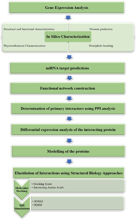 Image result for Project Task Workflow Diagram