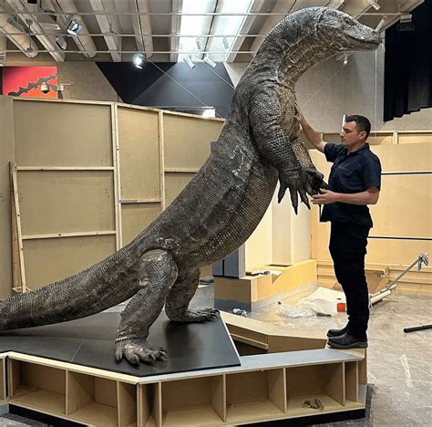 Megalania, an extinct giant lizard, was part of Australia's megafauna during the Pleistocene era ...