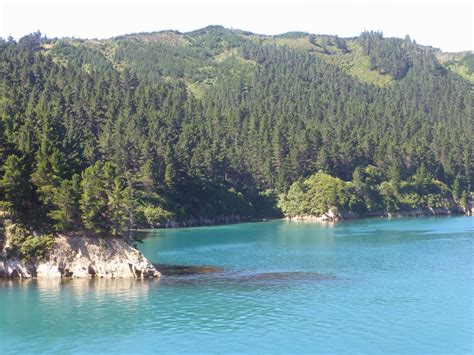 Cook Strait 的图像结果
