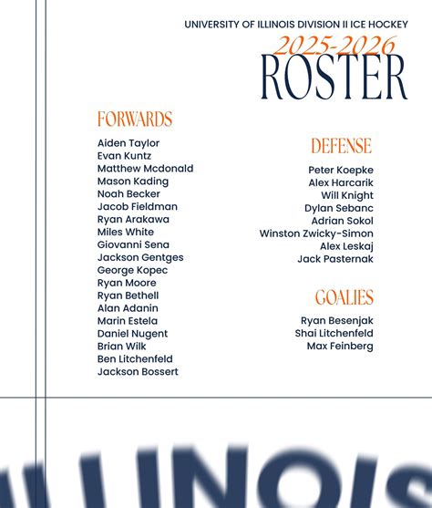 Illinois Men's D2 Hockey (@illinoishockeyd2) • Instagram photos and videos