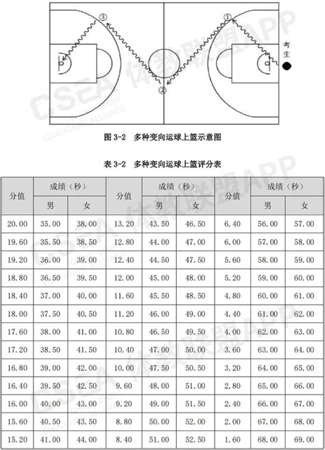 篮球--体育专项考试方法与评分标准【2021版】_河南省阳光高考信息平台_河南省高考信息网