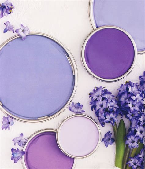 The Alluring Appeal Of Purple Color Paint - Paint Colors
