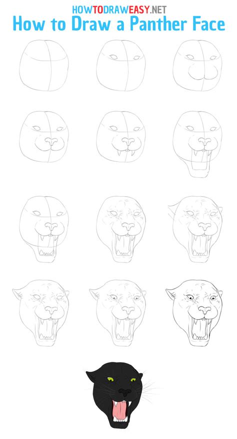 Image result for Draw Panther Tutorial