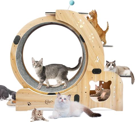 Amazon.com : Cat Wheel 6-in-1 Cat Exercise Wheel,Upgraded Cat Wheel ...