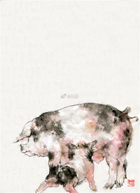 #梵画－2019生肖猪#茁壮成长 - 堆糖，美图壁纸兴趣社区