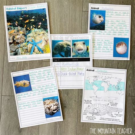 Informative Writing Activities 的图像结果