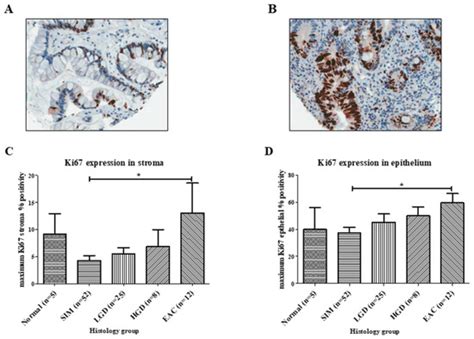 Differential Expression Profiles of Oxidative Stress Levels, 8-oxo-dG ...