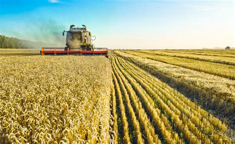 Agriculture 的图像结果