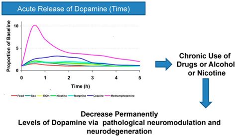 Dopamine Pharmacodynamics: New Insights
