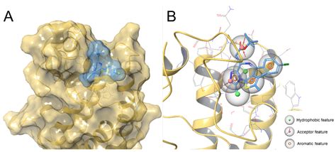 Identification of Novel Bromodomain-Containing Protein 4 (BRD4) Binders ...