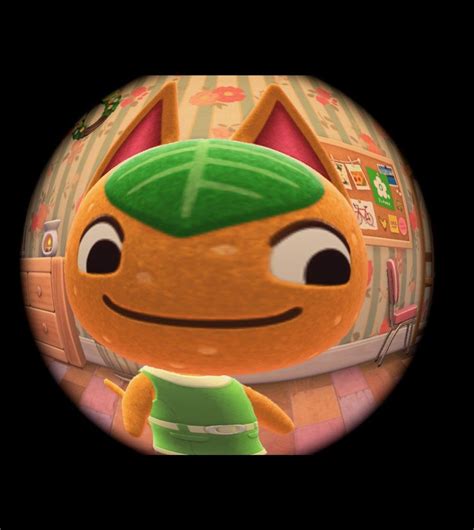 Tangy acnh i 2025
