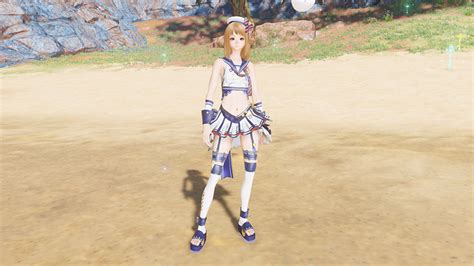 Image result for PSO2 Braver Class