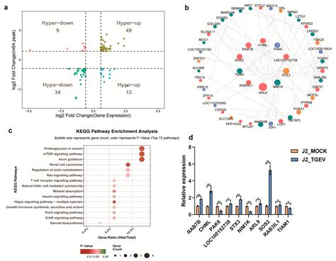 Transcriptome-Wide Identification and Analysis Reveals m6A Regulation ...