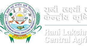 RLBCAU Jhansi Teaching cum Research Associates Job Openings