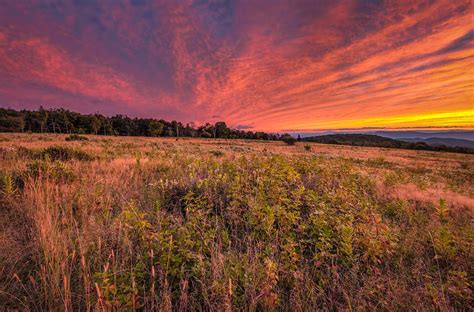 Big Meadows Colorado Campground: Your Mountain Getaway