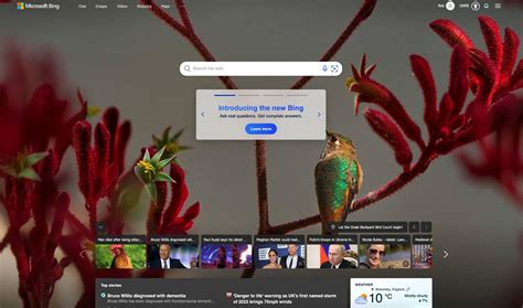 Bing Co-Pilot Al 的图像结果