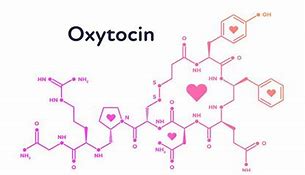 oxytocin 的图像结果