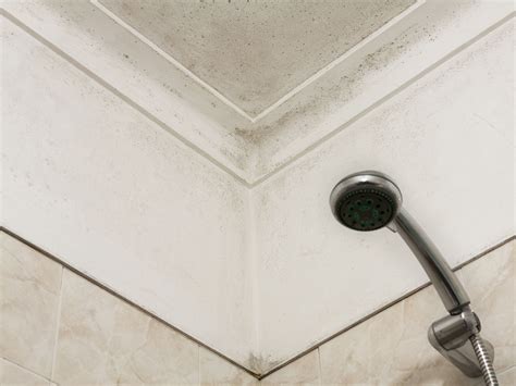 How To Get Mold Off Your Bathroom Walls - Artcomcrea