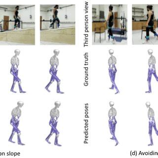 Internet Users Body Prediction 的图像结果