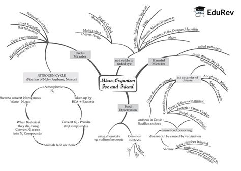 Mind Map: Microorganisms: Foe and Friend - Science Class 8 PDF Download