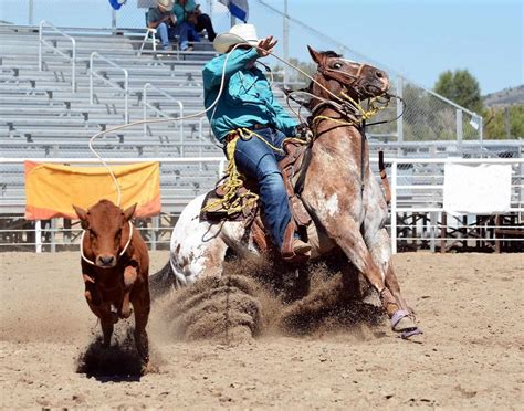 Rodeo: History, Types, Objective, & Equipment - Sportsmatik