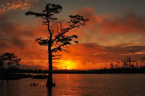 Moore To See Photo Expeditions (Virginia Beach) - 2022 What to Know ...