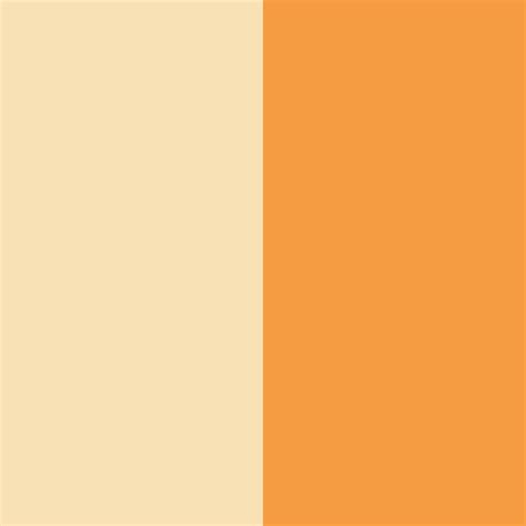 Light Orange Color Palette - ColorDrop