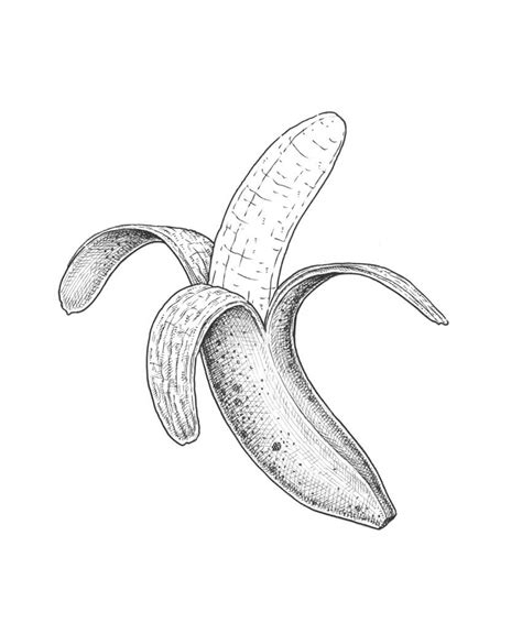 Image result for Python Syntax Gifs
