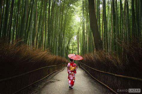 9 day Impressions of Japan | Japan Packages | Webjet Exclusives