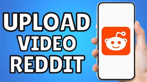 Reddit Video Best 的图像结果