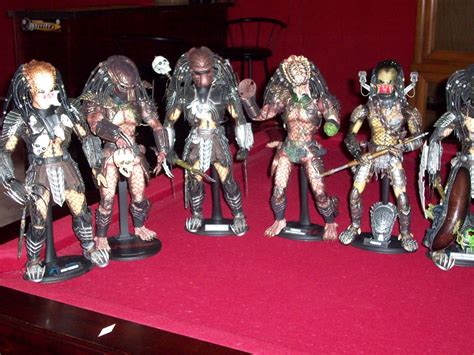 Image result for Predator Collection