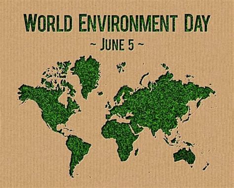 World Environment Day Ireland | Environment Page | Twinkl