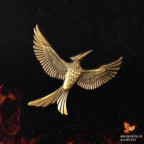 Mockingjay Bird Hunger Games