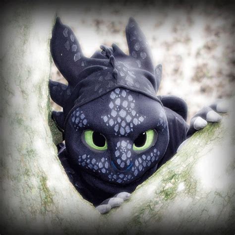 Image result for Alpha Toothless Drawing