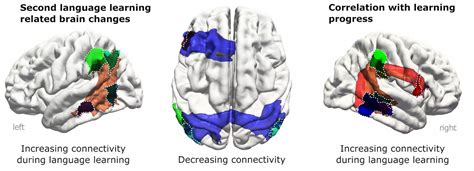 Learning a Second Language 的图像结果
