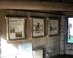 ZooLex Exhibit - African Wild Dog Exhibit