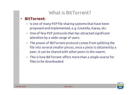 BitTorrent Protocol Format 的图像结果