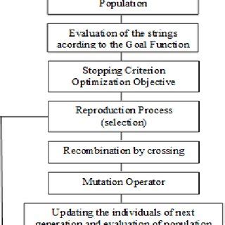 Image result for Genetic Algorithm Functional Schema