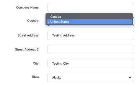 HTML Options Tag 的图像结果