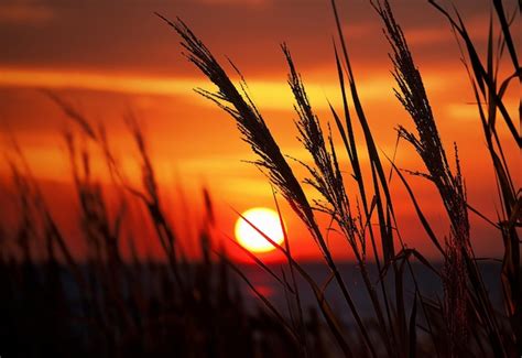 Photo 的图像结果