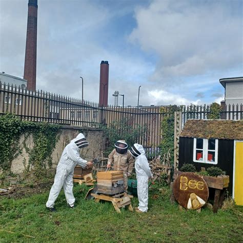 INNER CITY BEEKEEPING PROJECT - BEE8 (2025) All You Need to Know BEFORE ...