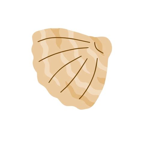 Shell Cartoon 的图像结果