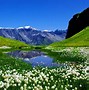 Image result for Amazing Spring Wallpaper