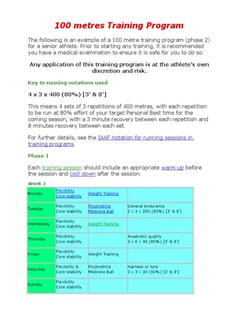 100M Training Program 的图像结果