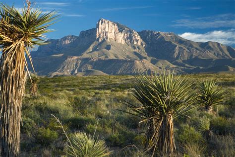 Guadalupe Mountains National Park | Texas, Summary, & Facts | Britannica